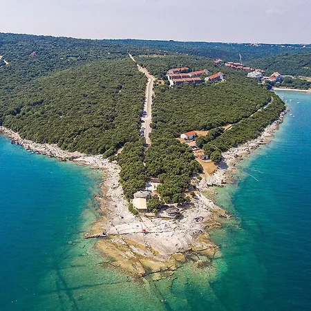 Gorgeous In * Крница